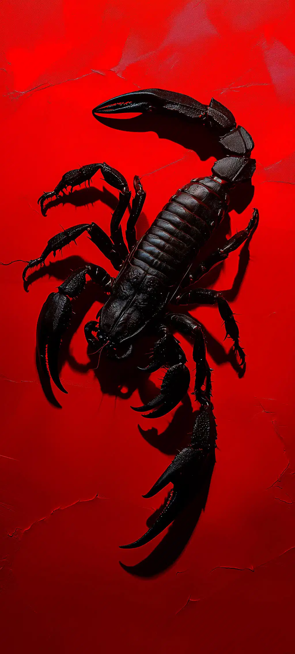 Scorpion Silhouette Vibrant Red Background