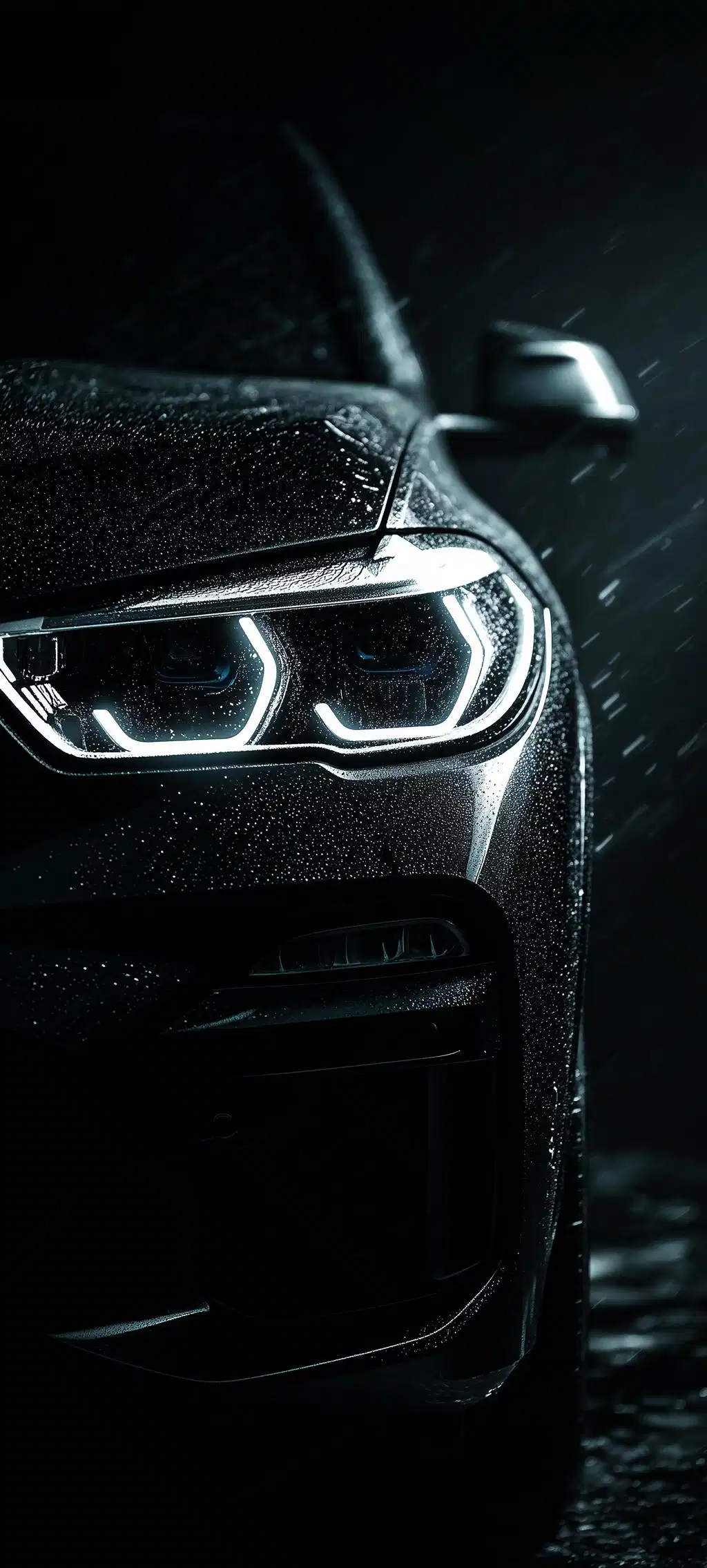 Dark BMW Front Grille Headlights
