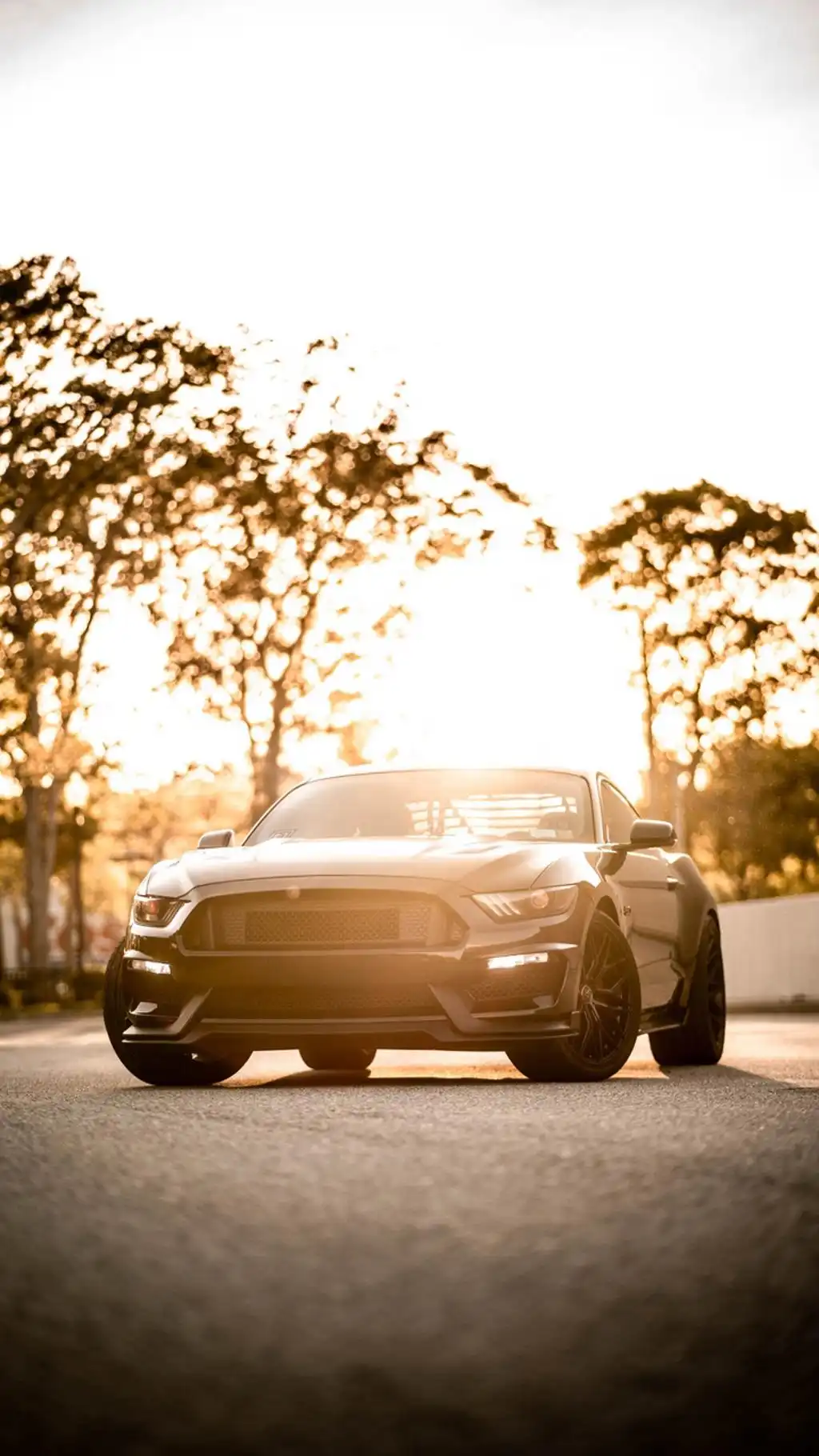 Gold Sports Car Sunset Glare