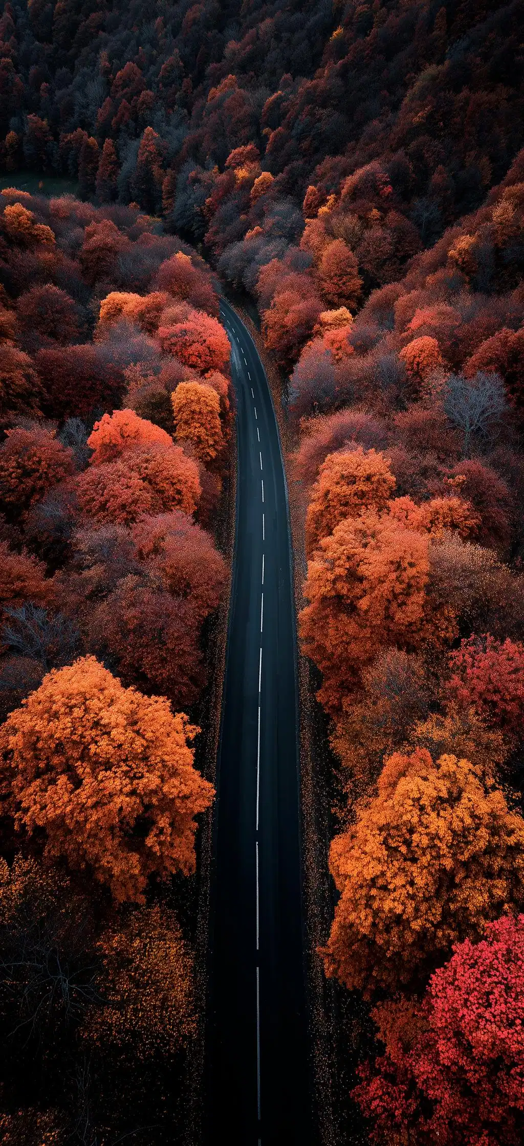 Autumn Waterfall Gorge