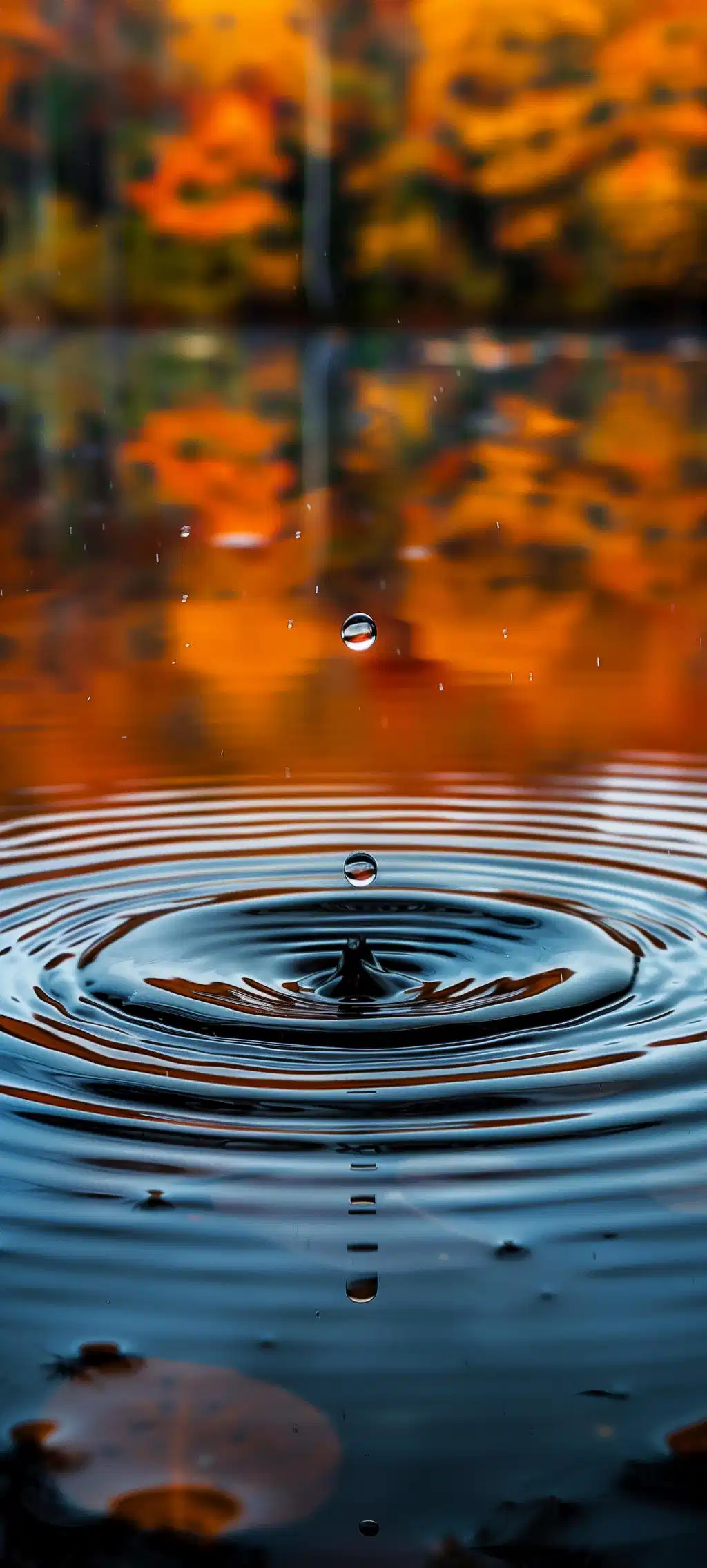 Golden Sunset Water
