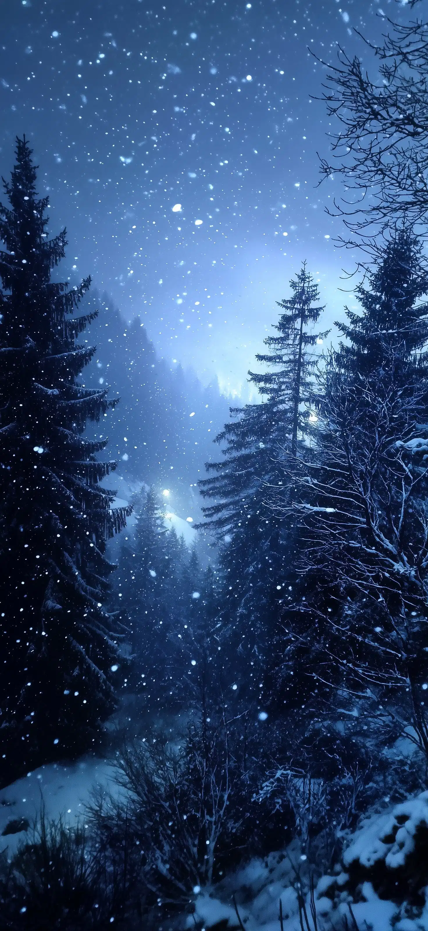 Starry Night Pine Forest