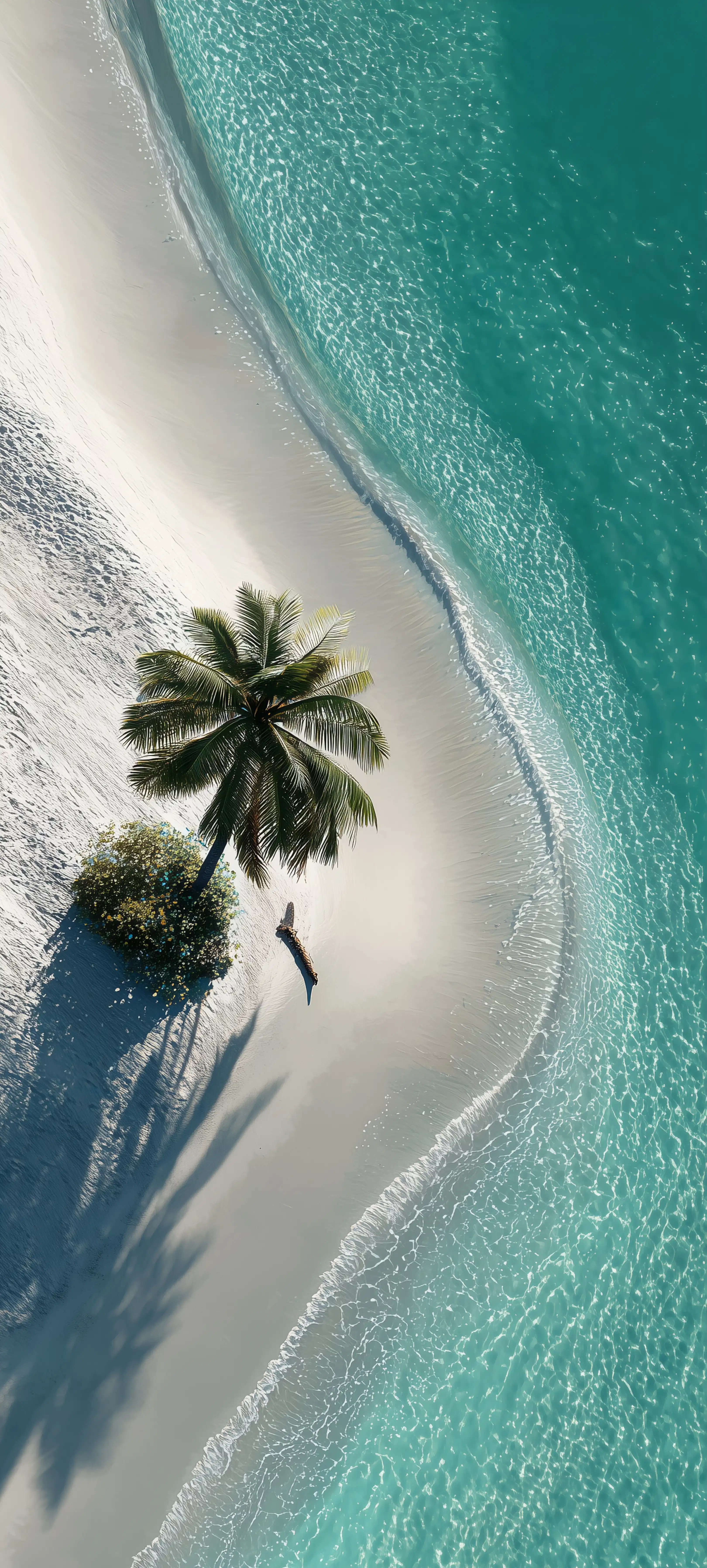 Tropical Beach Aerial View