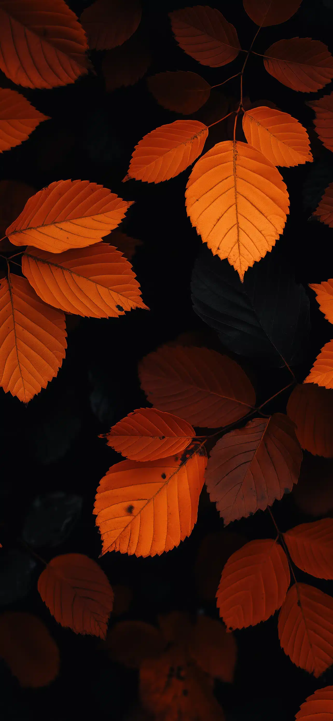 Vibrant Orange Leaves