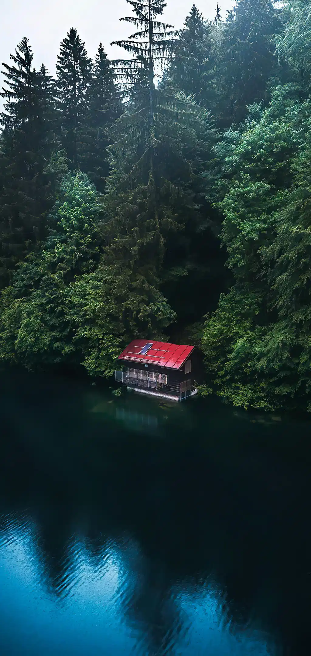 Cozy Cabin Green Forest Lake