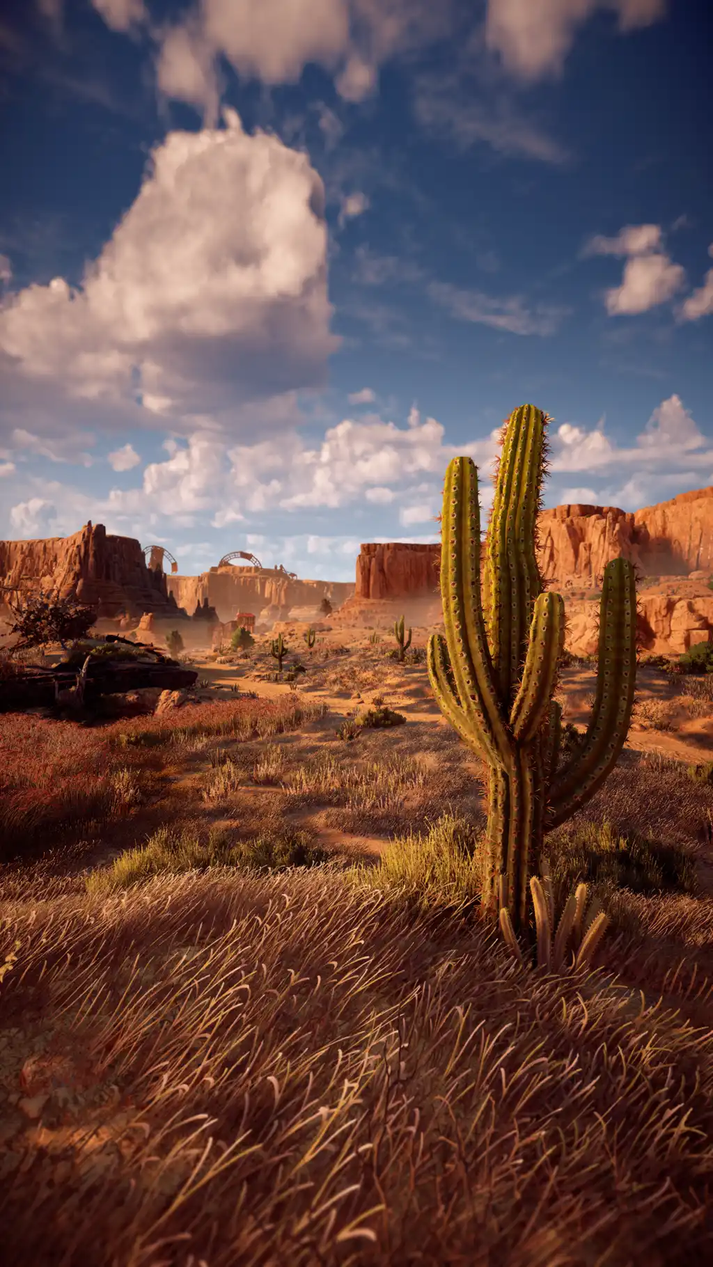 Desert Canyon Cactus Dramatic Sky